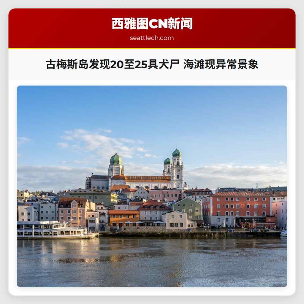 古梅斯岛发现20至25具犬尸 海滩现异常景象