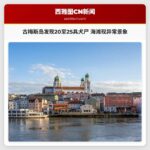 古梅斯岛发现20至25具犬类尸体 海滩现异常景象
