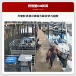 布雷默顿港河狸袭击案获35万赔偿