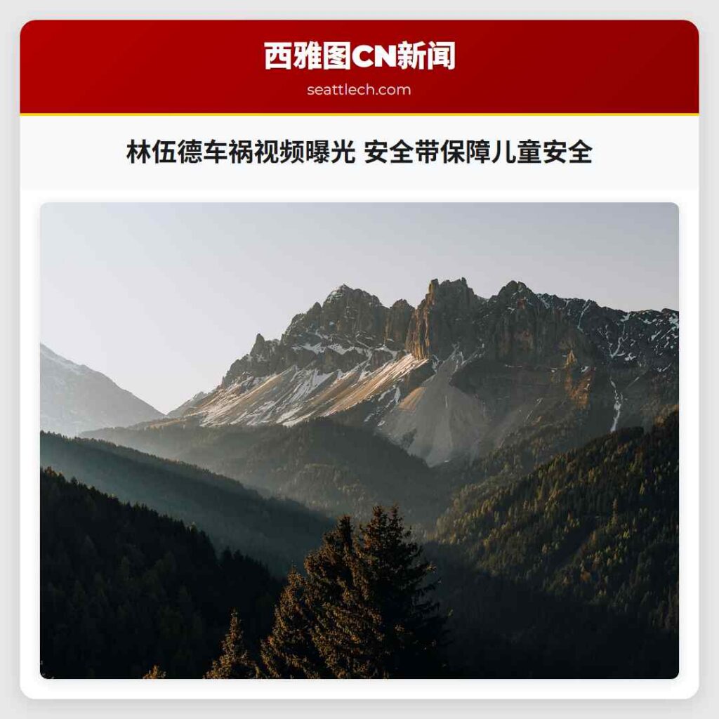 林伍德车祸视频曝光 安全带保障儿童安全