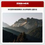 林伍德车祸视频曝光 安全带保障儿童安全