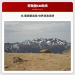 文·雷姆斯出院 休养状态良好