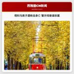 塔科马男子遭枪击身亡 警方彻查谋杀案