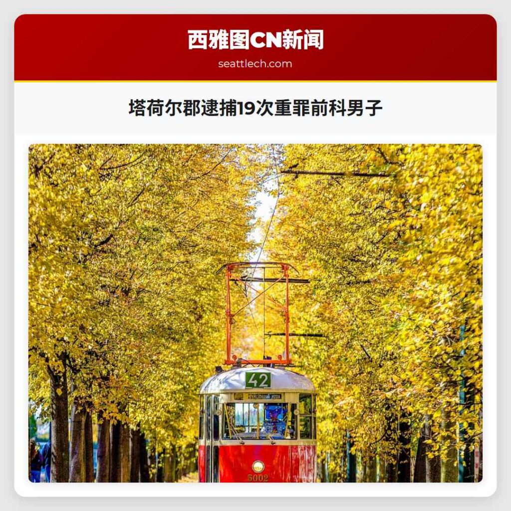 塔荷尔郡逮捕19次重罪前科男子