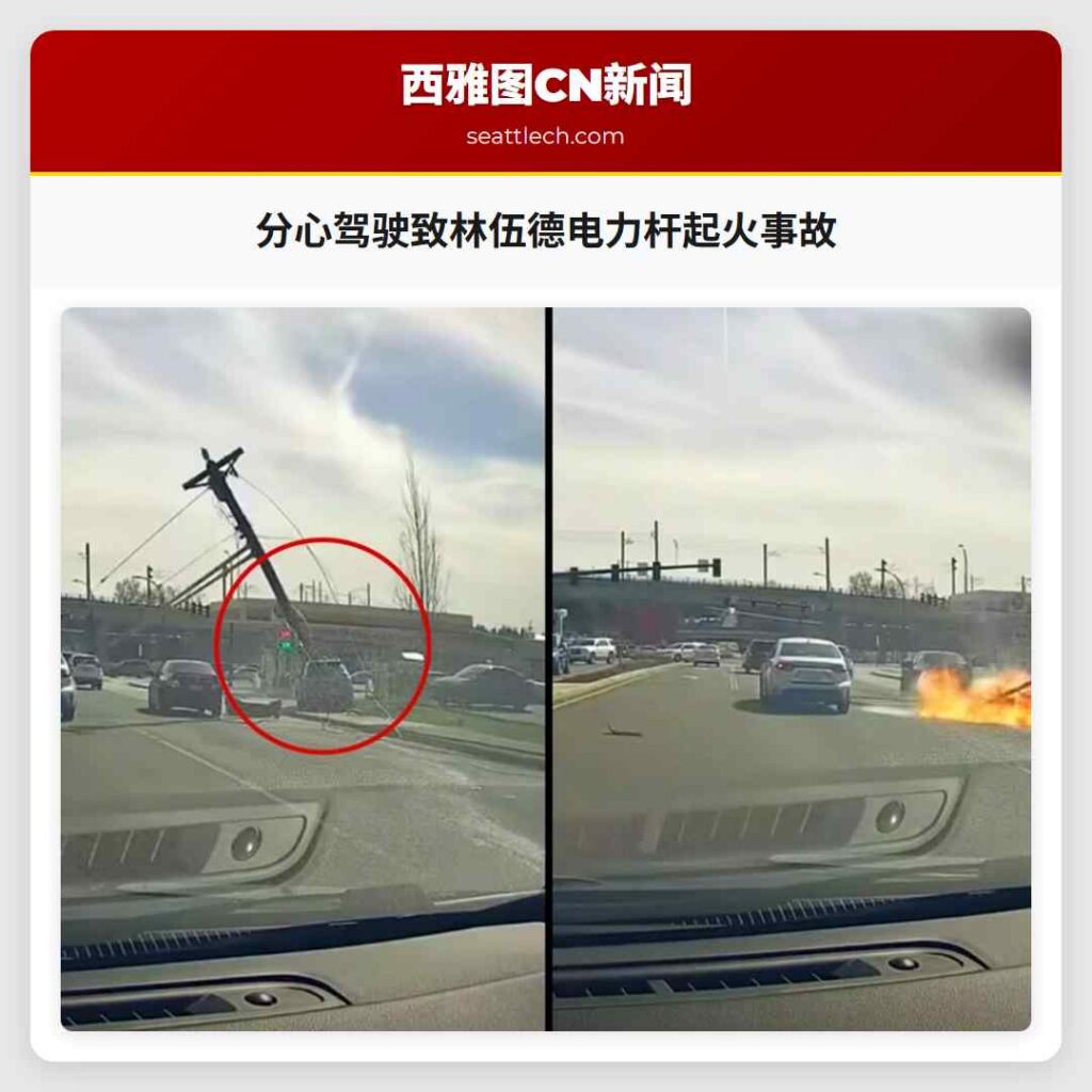分心驾驶致林伍德电力杆起火事故