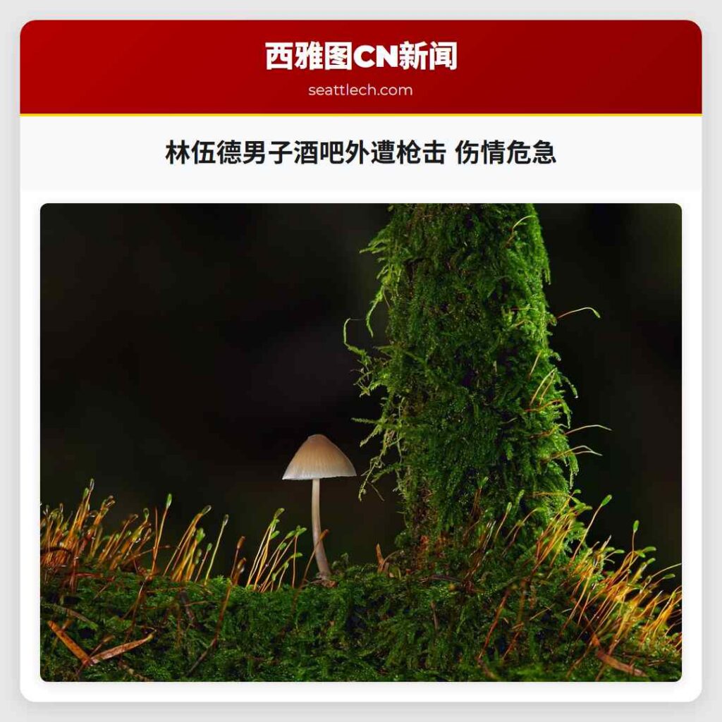 林伍德男子酒吧外遭枪击 伤情危急