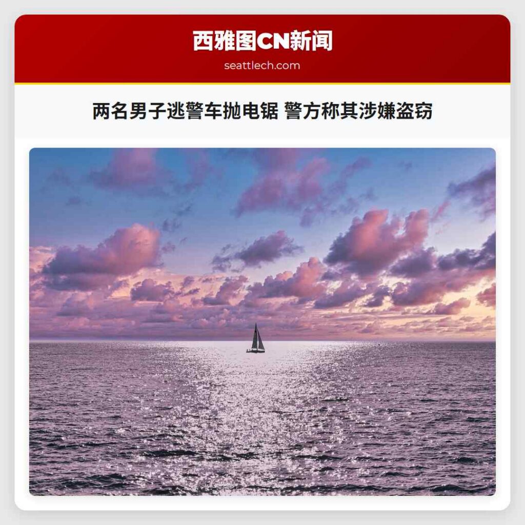 两名男子逃警车抛电锯 警方称其涉嫌盗窃