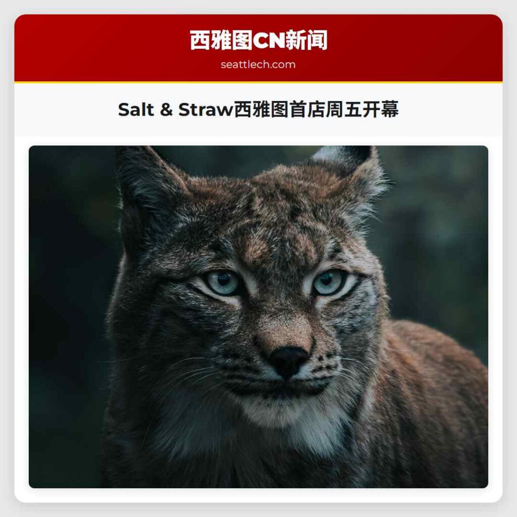 Salt & Straw西雅图首店周五开幕