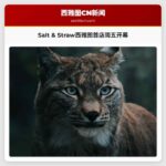 Salt & Straw西雅图首店周五开幕