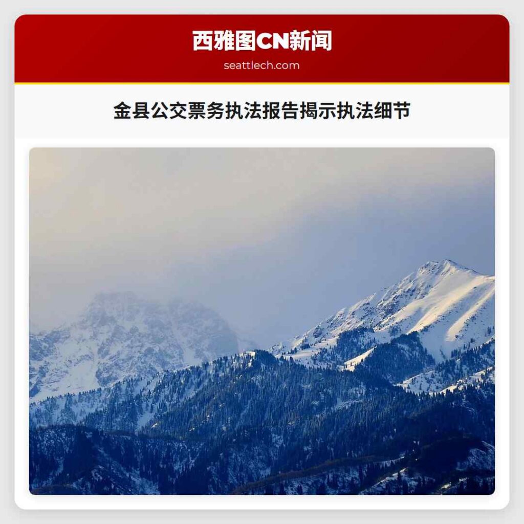 金县公交票务执法报告揭示执法细节