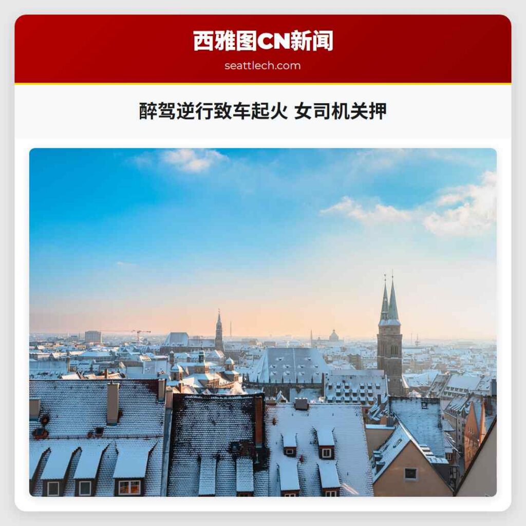 醉驾逆行致车起火 女司机关押