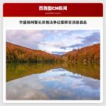 华盛顿州警长资格法争议案移至汤普森县