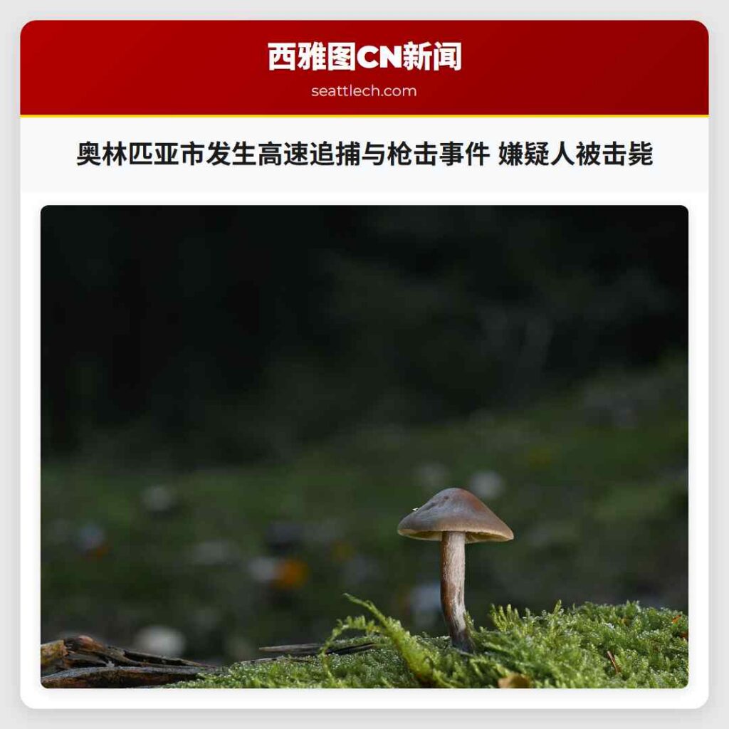 奥林匹亚市发生高速追捕与枪击事件 嫌疑人被击毙