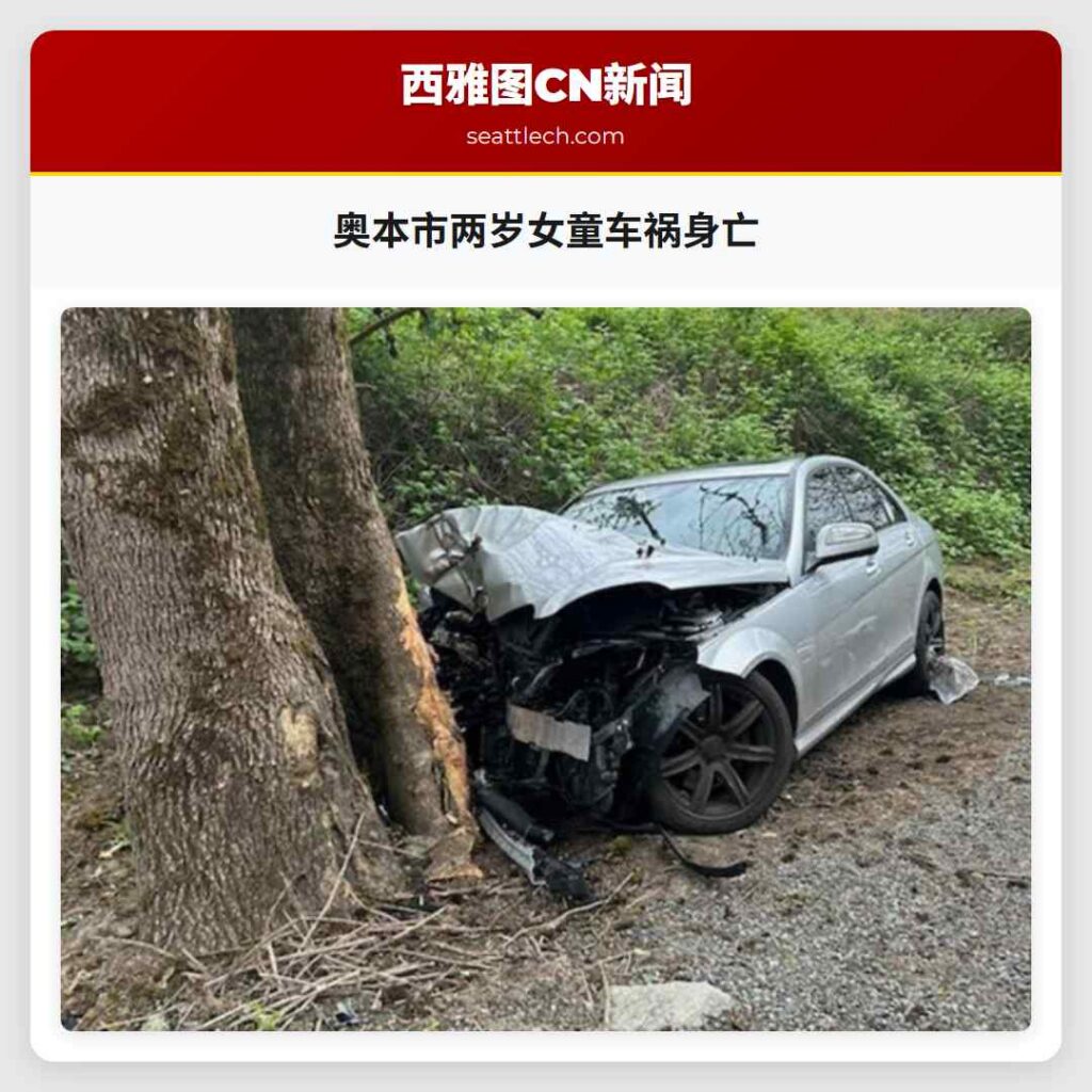 奥本市两岁女童车祸身亡