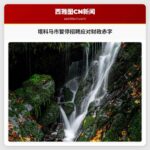 塔科马市暂停招聘应对1500万美元财政赤字