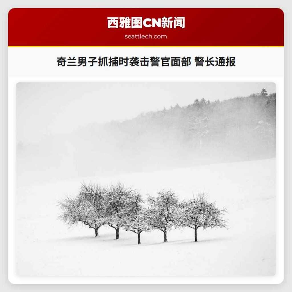 奇兰男子抓捕时袭击警官面部 警长通报