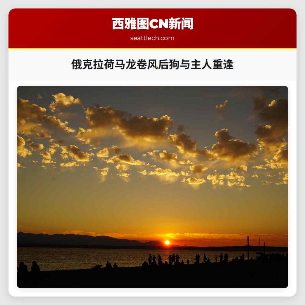 俄克拉荷马龙卷风后狗与主人重逢