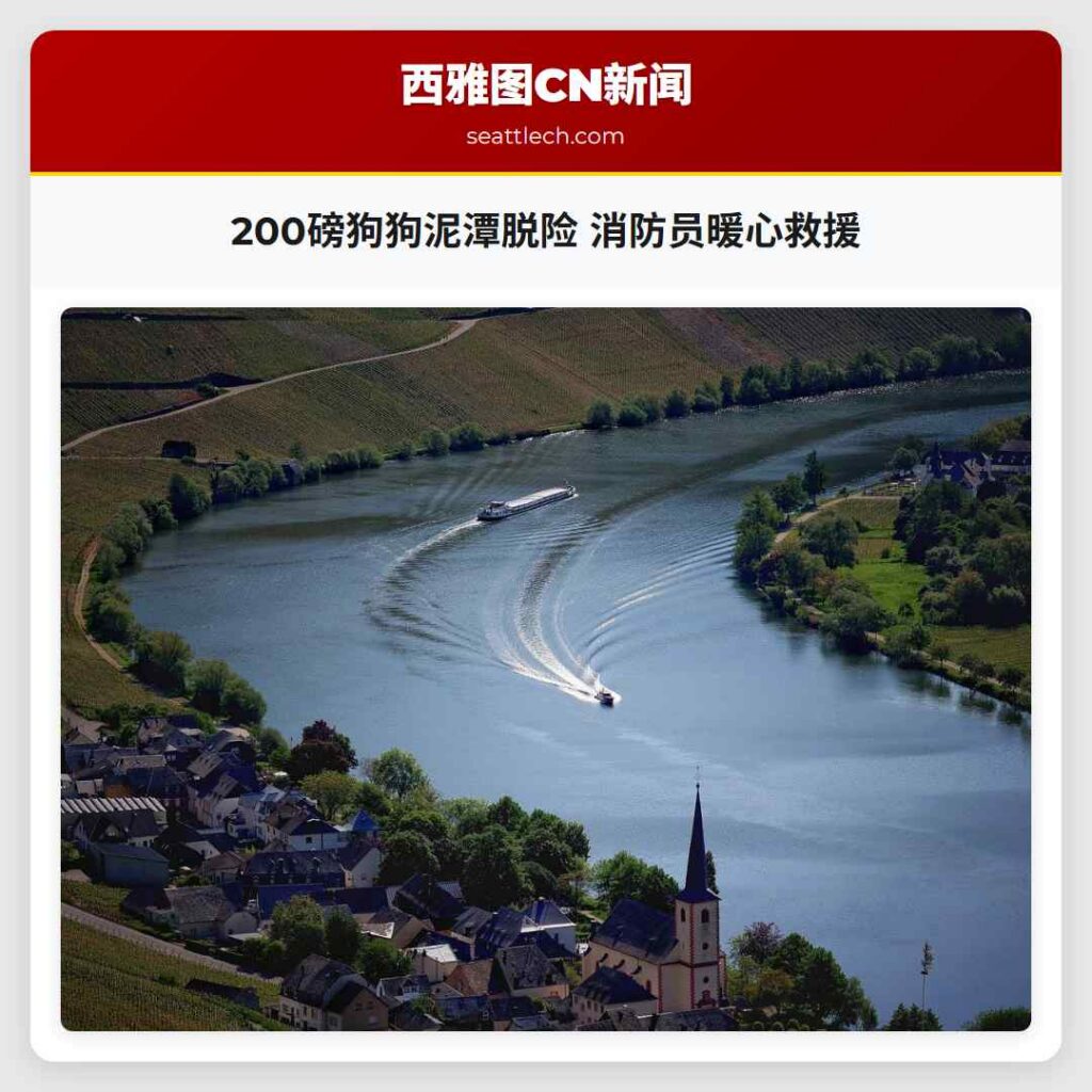 200磅狗狗泥潭脱险 消防员暖心救援