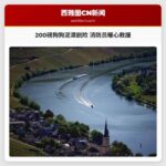 200磅狗狗成功脱险 火车员暖心救援