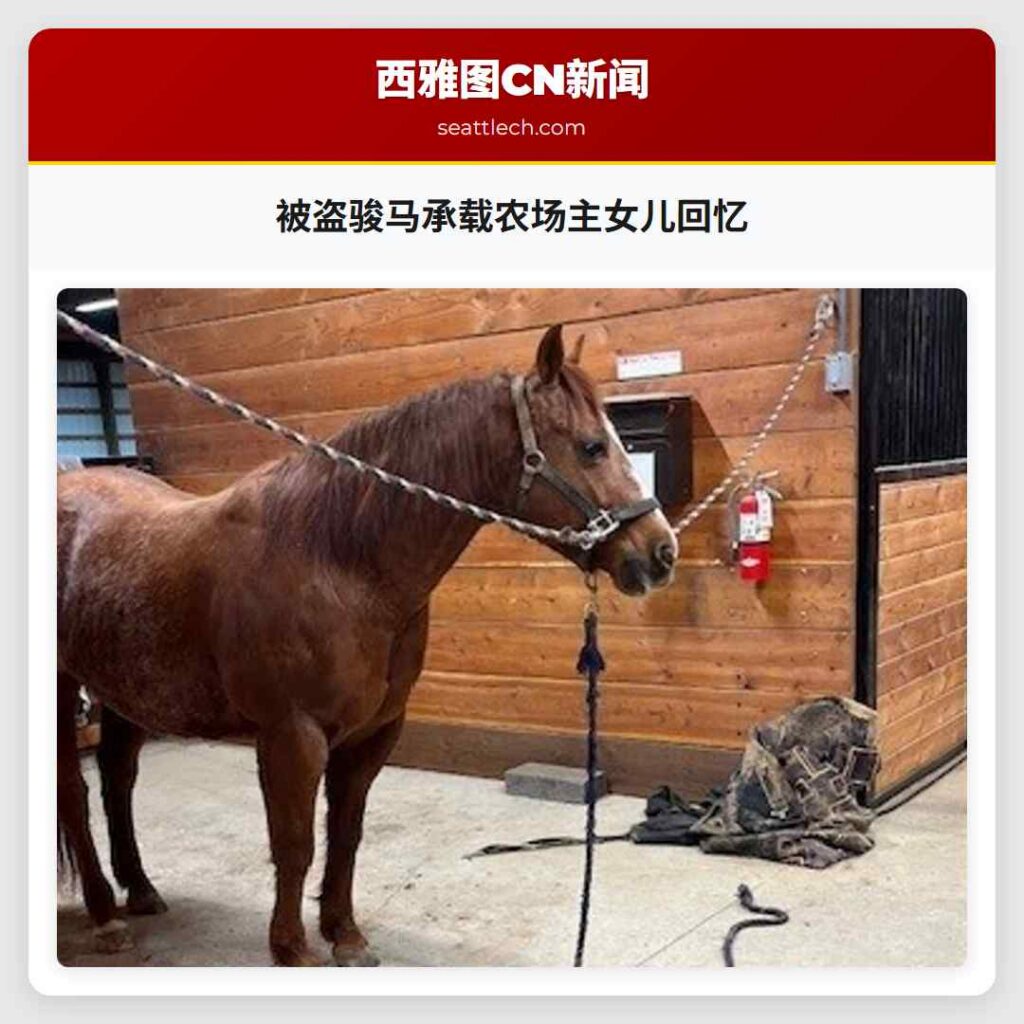 被盗骏马承载农场主女儿回忆