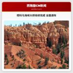 塔科马海峡大桥抢修完成 全面通车