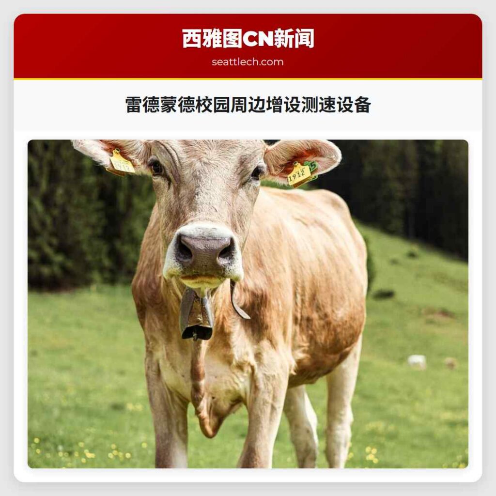 雷德蒙德校园周边增设测速设备