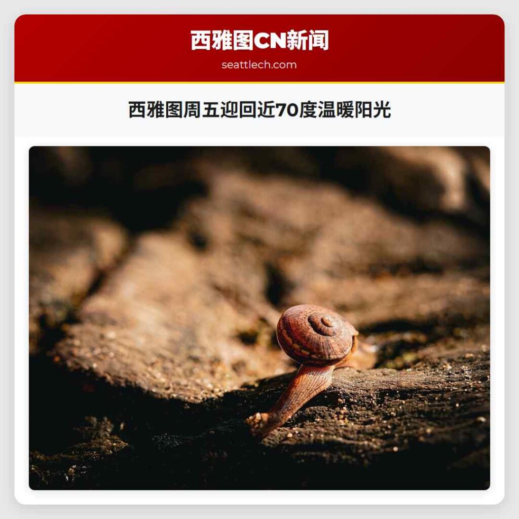 西雅图周五迎回近70度温暖阳光