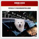 密苏里女子涉谋杀案被佛罗里达逮捕