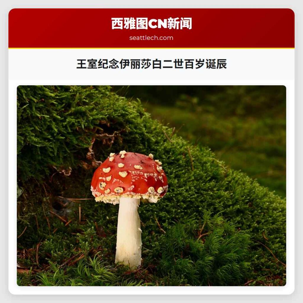 王室纪念伊丽莎白二世百岁诞辰