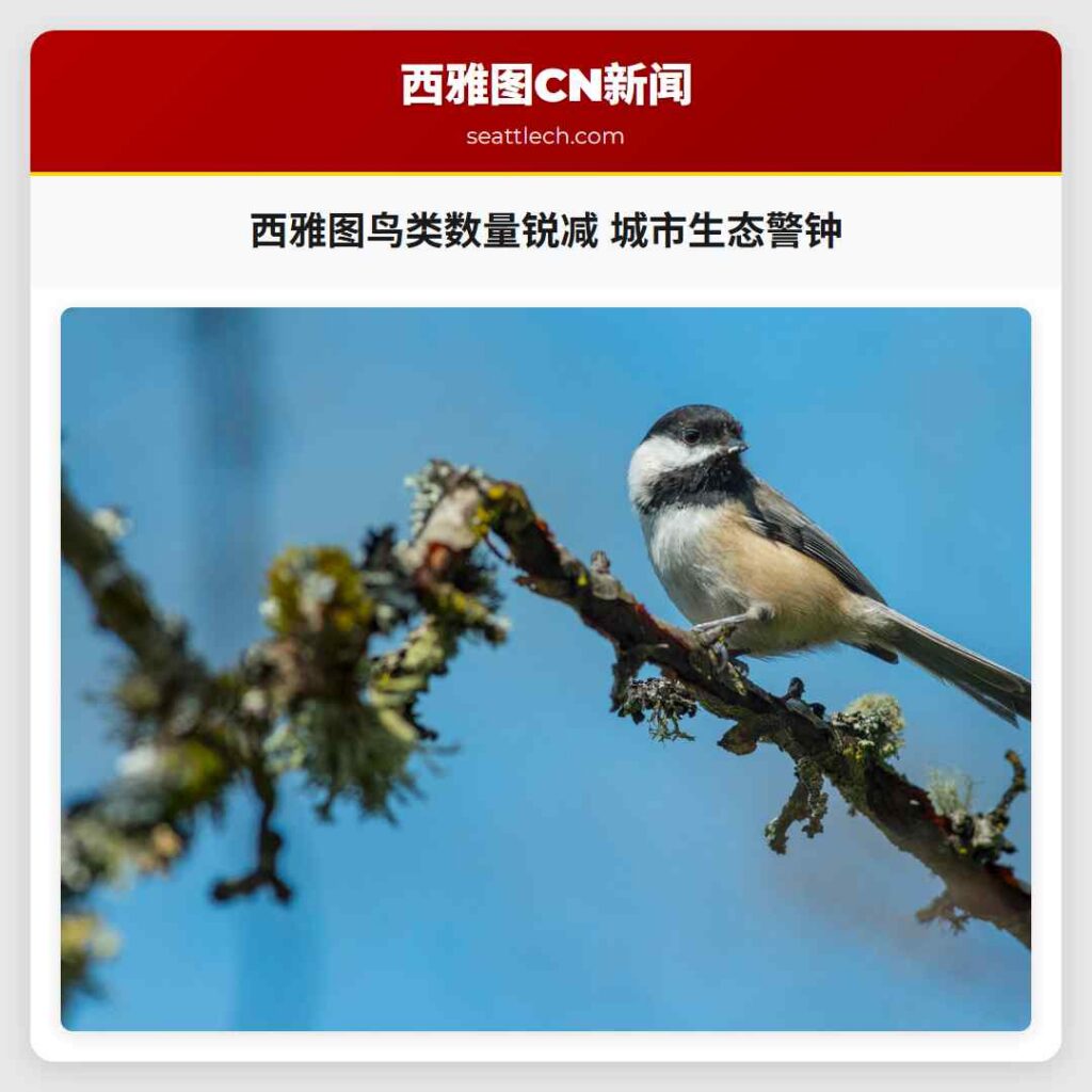 西雅图鸟类数量锐减 城市生态警钟