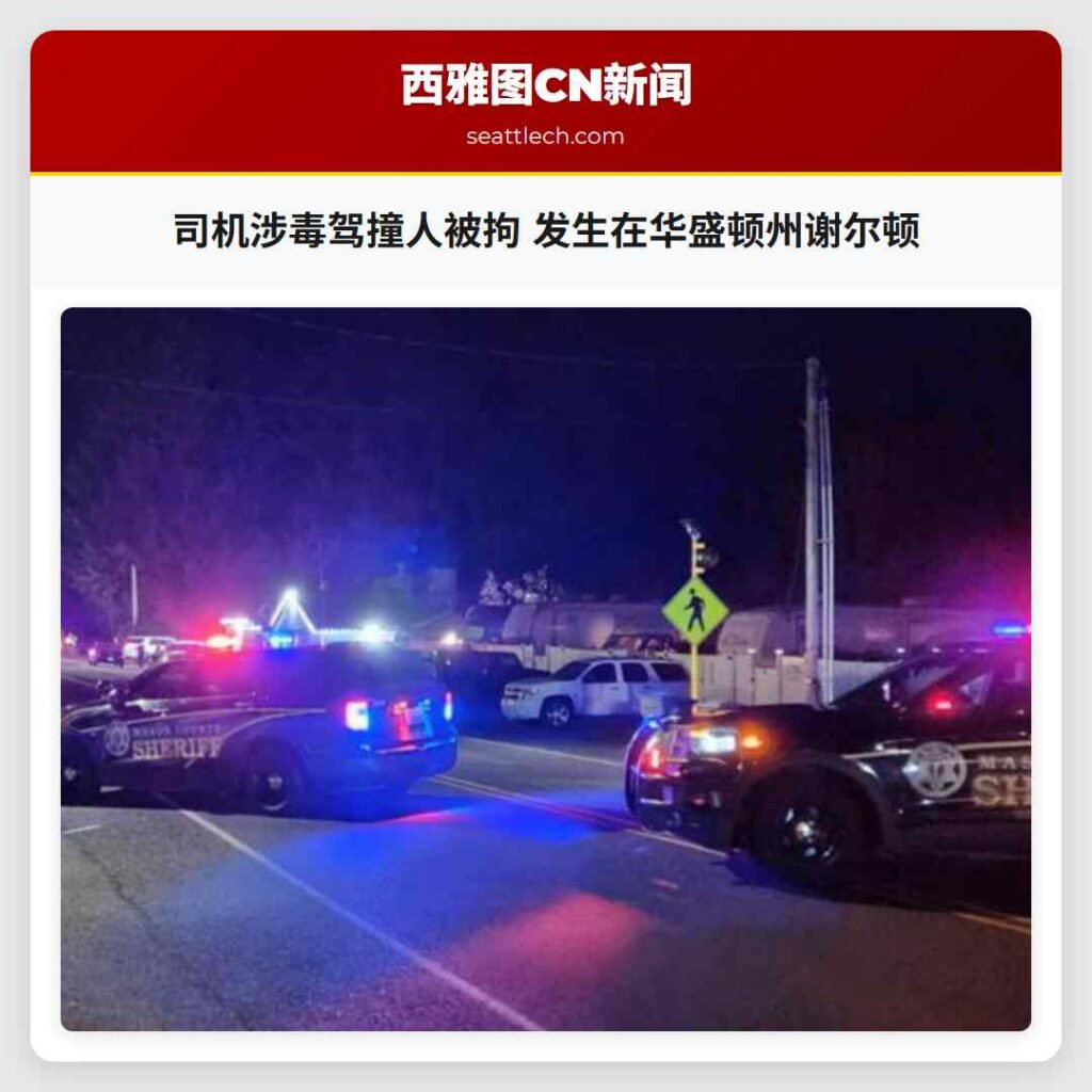 司机涉毒驾撞人被拘 发生在华盛顿州谢尔顿