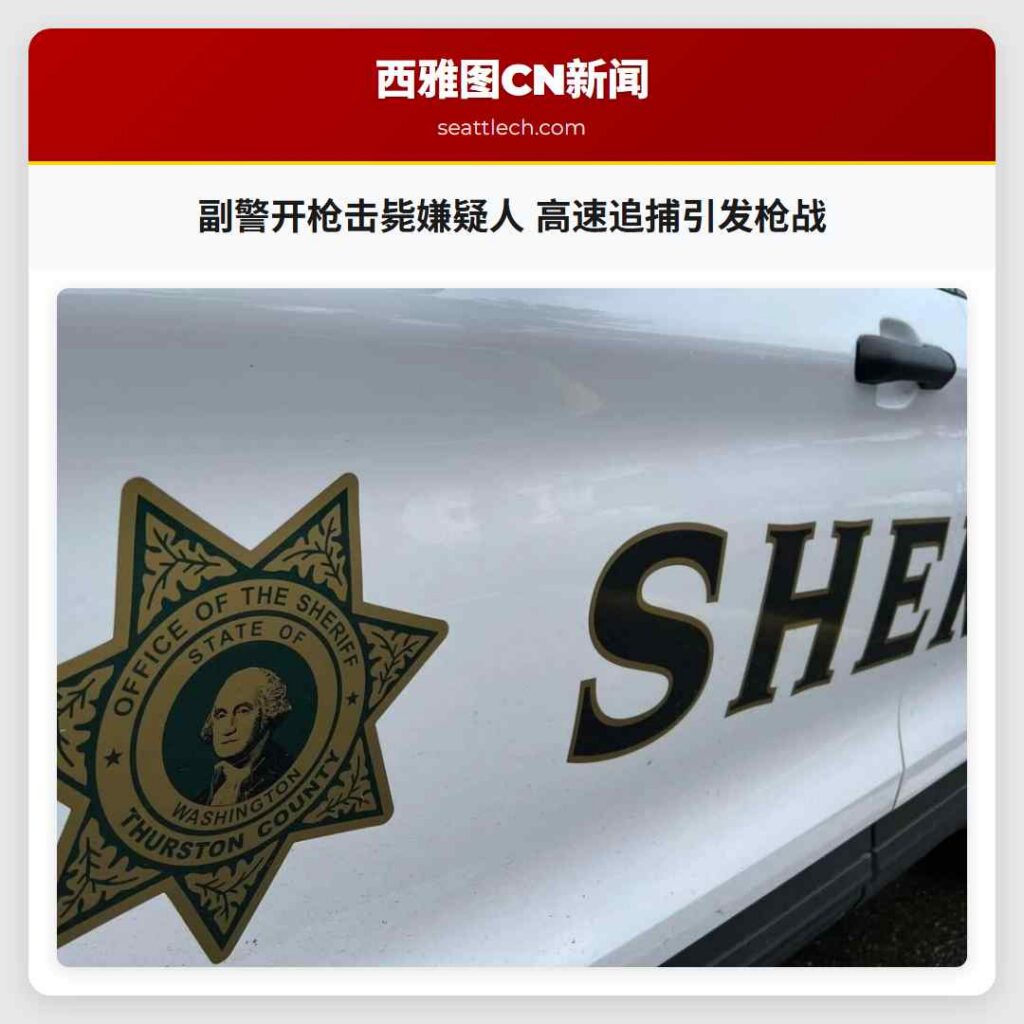副警开枪击毙嫌疑人 高速追捕引发枪战