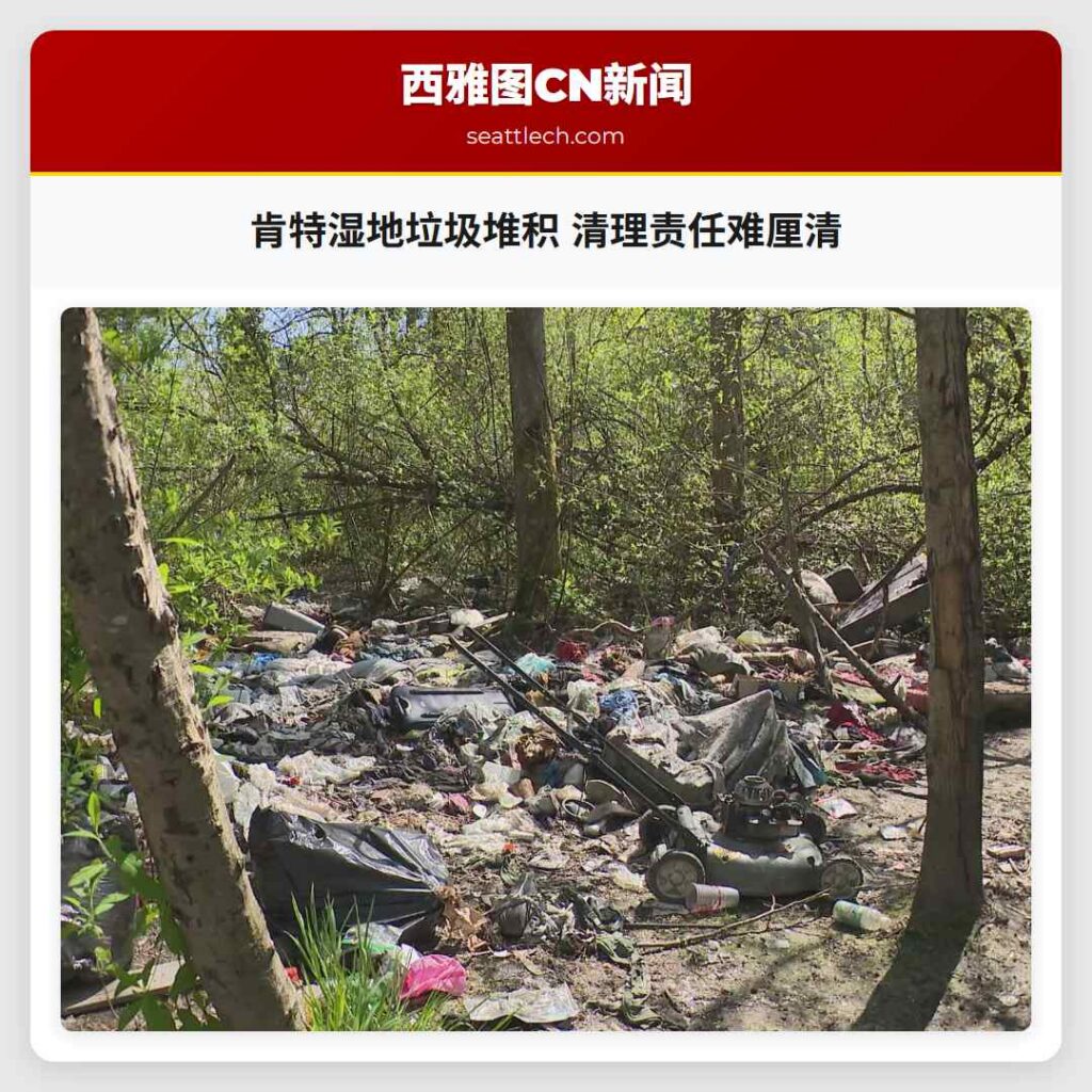 肯特湿地垃圾堆积 清理责任难厘清