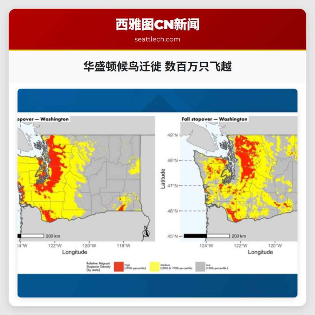 华盛顿候鸟迁徙 数百万只飞越