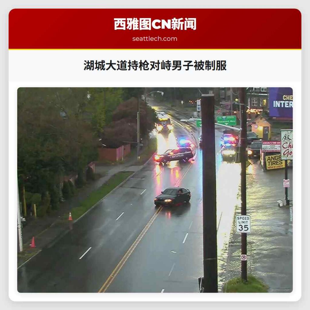 湖城大道持枪对峙男子被制服