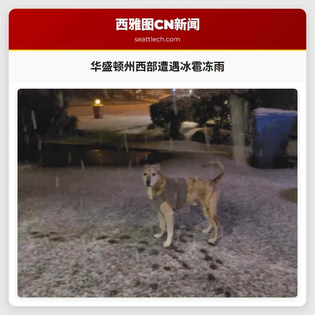 华盛顿州西部遭遇冰雹冻雨