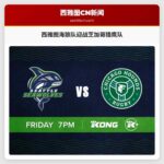 西雅图海狼队迎战芝加哥猎鹰队