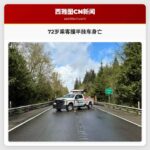 72岁乘客撞半挂车身亡