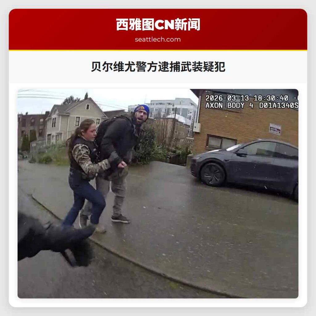 贝尔维尤警方逮捕武装疑犯