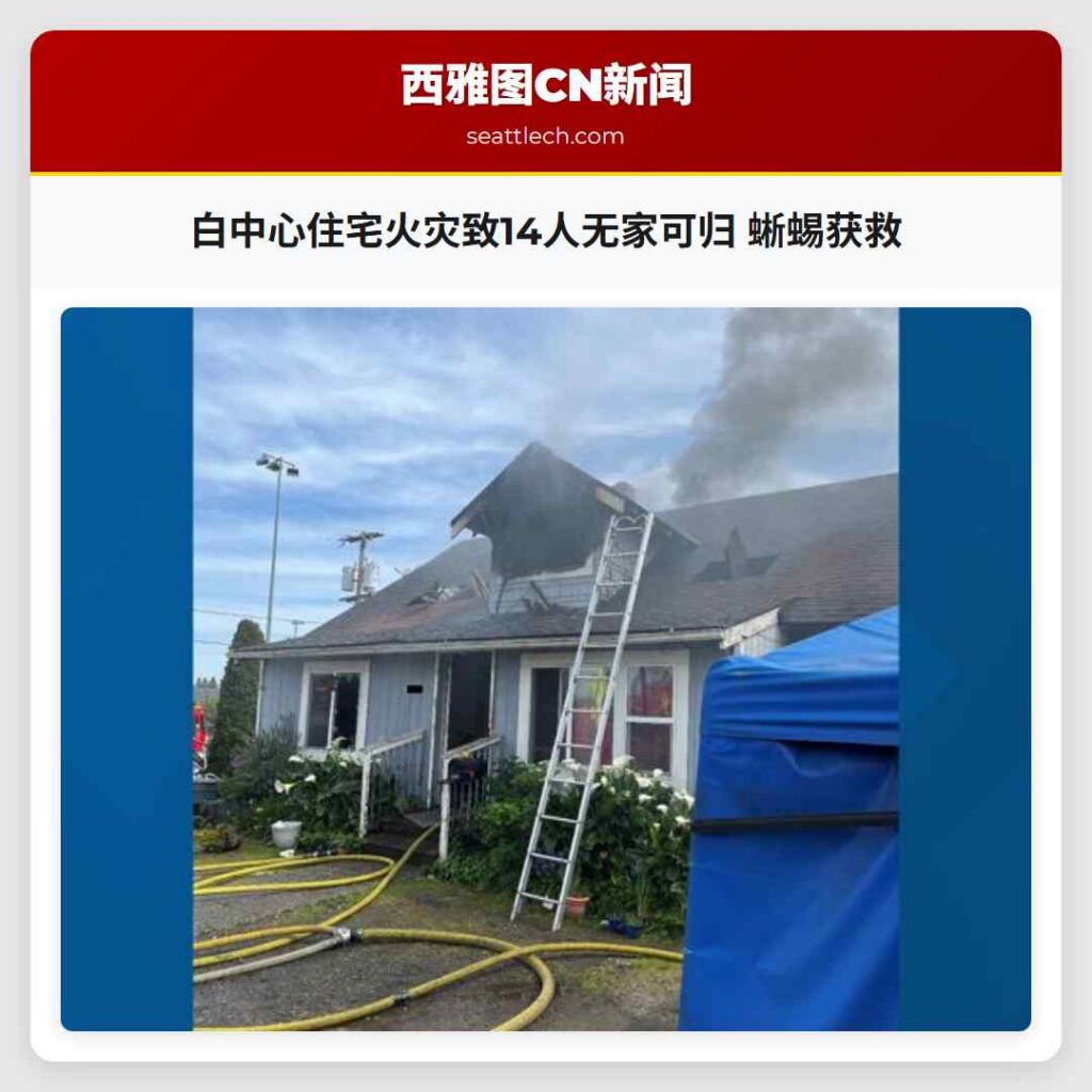 白中心住宅火灾致14人无家可归 蜥蜴获救