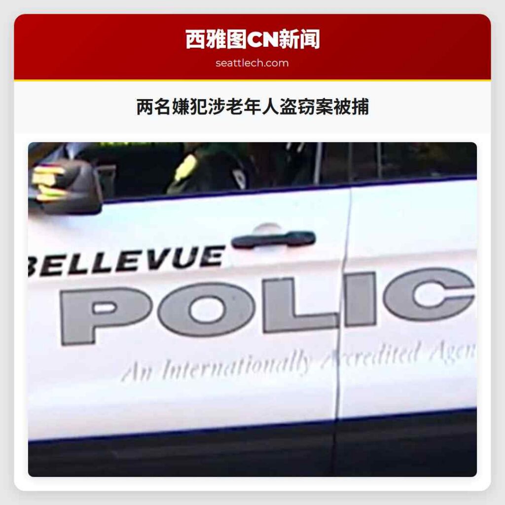 两名嫌犯涉老年人盗窃案被捕