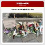 华盛顿大学凶案嫌疑人首次出庭