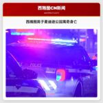西雅图男子麦迪逊公园离奇身亡