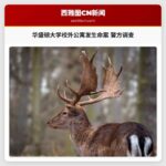 华盛顿大学校外公寓发生命案 警方调查