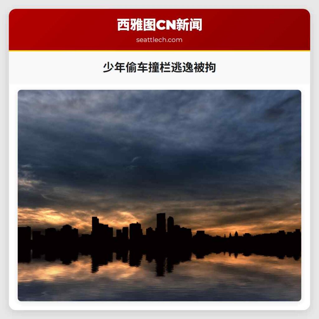 少年偷车撞栏逃逸被拘