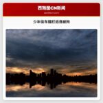 少年偷车撞栏逃逸被拘