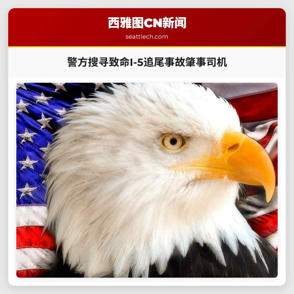 警方搜寻致命I-5追尾事故肇事司机