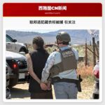 联邦逃犯藏衣柜被捕 引关注