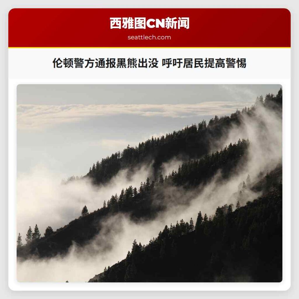 伦顿警方通报黑熊出没 呼吁居民提高警惕