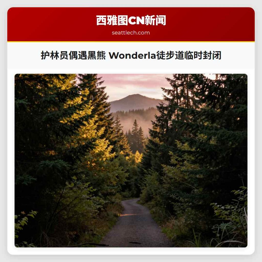 护林员偶遇黑熊 Wonderla徒步道临时封闭